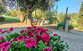 Azienda Agricola Polveraia