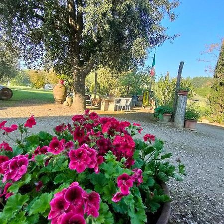Azienda Agricola Polveraia San Gimignano Exterior foto