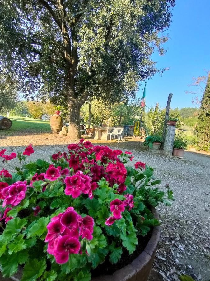 Azienda Agricola Polveraia San Gimignano Exterior foto