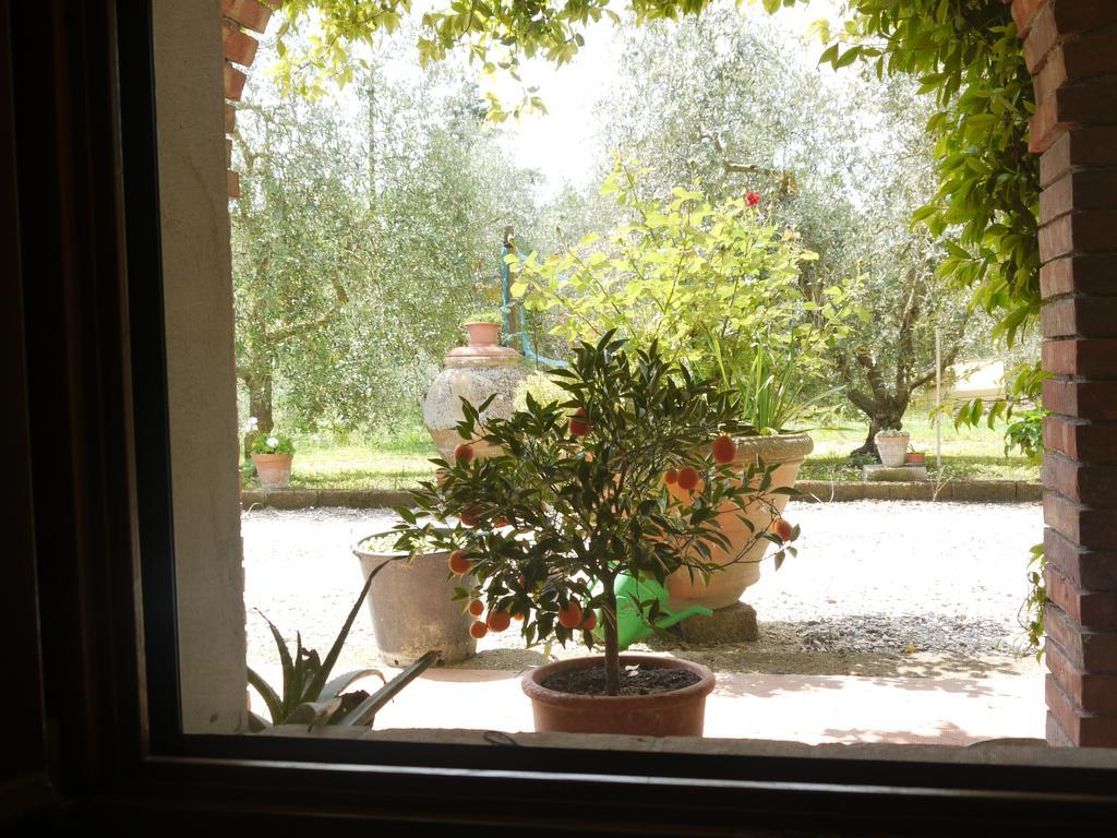 Azienda Agricola Polveraia San Gimignano Exterior foto