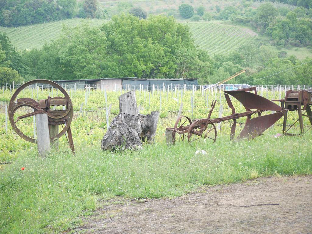 Azienda Agricola Polveraia San Gimignano Exterior foto