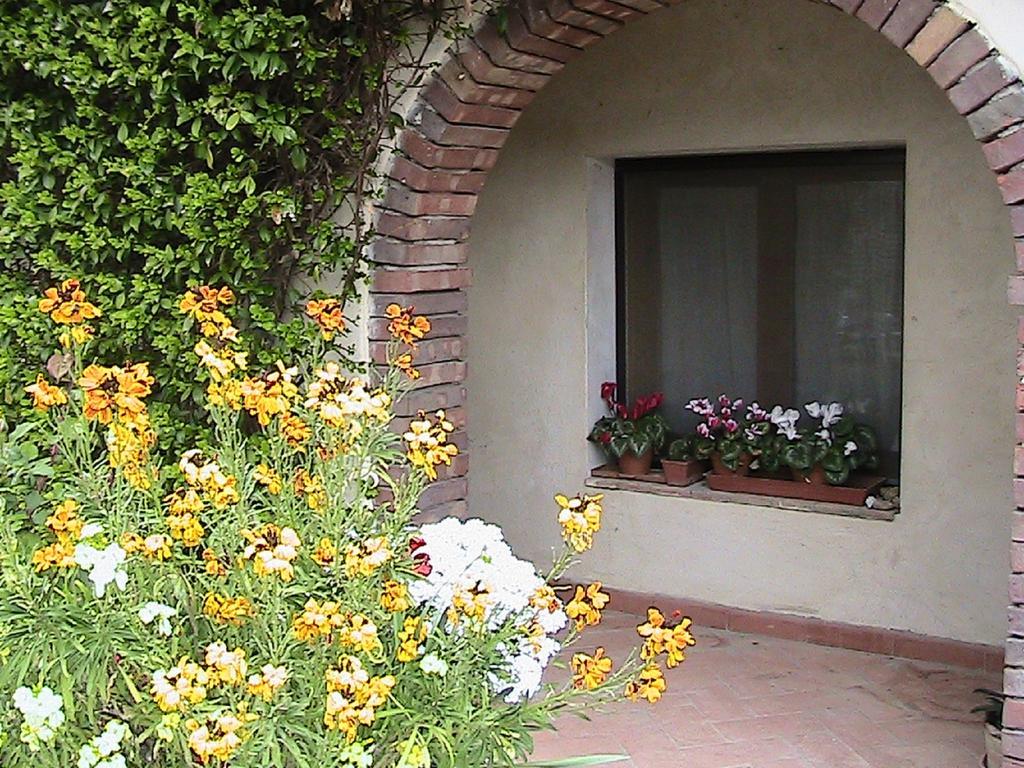 Azienda Agricola Polveraia San Gimignano Exterior foto