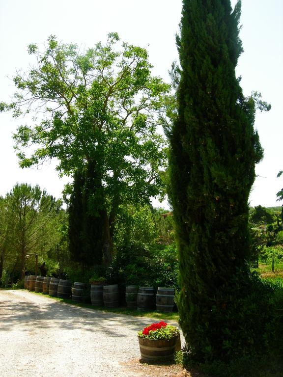 Azienda Agricola Polveraia San Gimignano Exterior foto