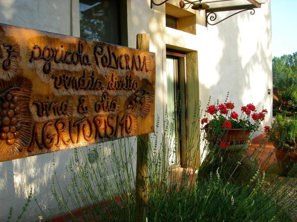 Azienda Agricola Polveraia San Gimignano Exterior foto