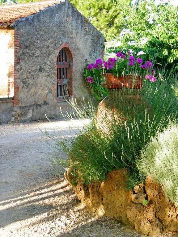 Azienda Agricola Polveraia San Gimignano Exterior foto