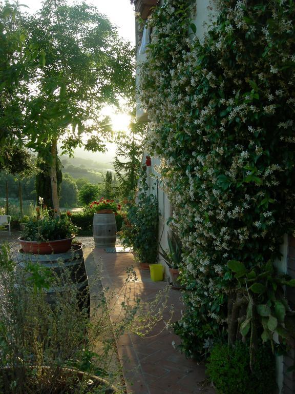 Azienda Agricola Polveraia San Gimignano Exterior foto
