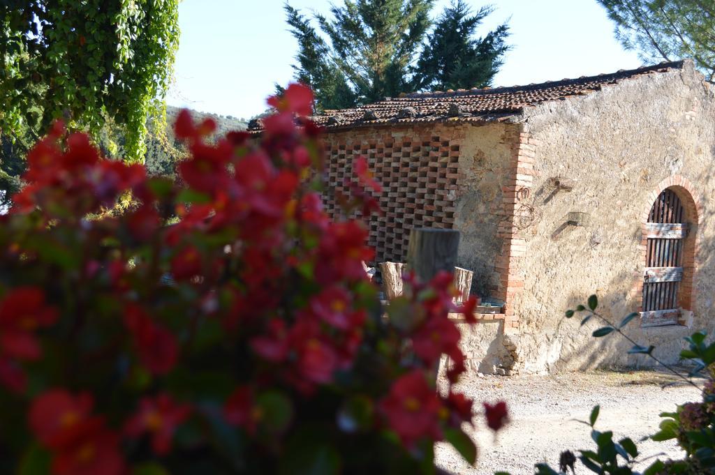 Azienda Agricola Polveraia San Gimignano Exterior foto