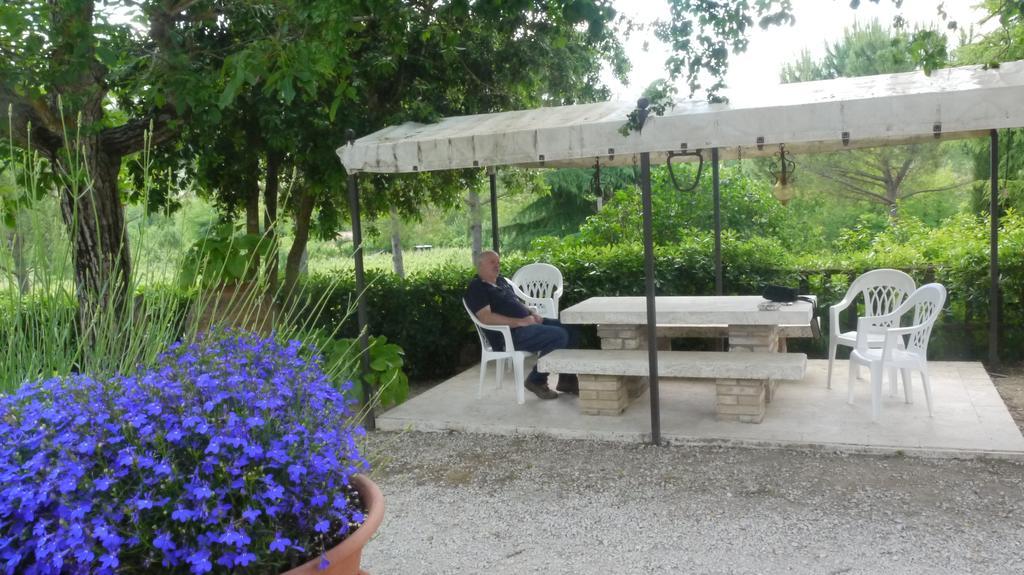Azienda Agricola Polveraia San Gimignano Exterior foto