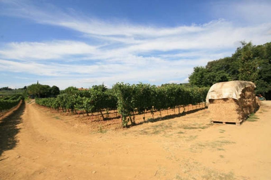 Azienda Agricola Polveraia San Gimignano Exterior foto